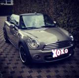 MINI Cooper Cabrio Leder/Sitzheizung/Sonderaus./Klima - MINI Cooper Cabrio aus 2011