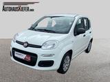 Fiat Panda Pop - gebrauchte Fiat Panda aus dem Jahr 2016