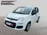 Fiat Panda Pop - Fiat Panda: Weiß