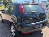 Fiat Punto Pop KLIMA/TÜV-06-28/1HAND - Fiat Punto: 1.2