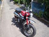 Honda Monkey 125, unfallfrei, Garagenfahrzeug - HONDA KLEINKRAFTRAD