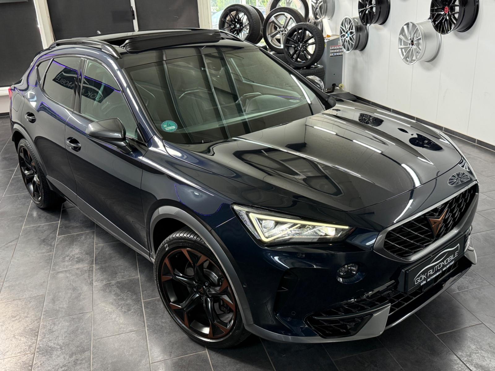 Cupra Formentor VZ 4Drive SCHALENSITZE*CARBON*360*PANO, миниатюра 9