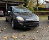Fiat punto Evo 5T 1.4i Dynamic - Fiat Punto Evo in Hannover