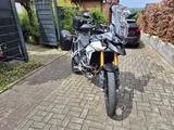 Triumph Tiger 900 Rally Pro - Triumph Tiger 900 Rally Pro