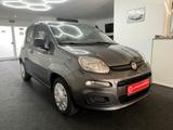 Fiat New Panda 1.2 Garagenwagen Rentner geb.1940 - Fiat aus 2018