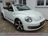 Volkswagen Beetle 1.2TSI Allstar Plus Xenon Leder Fender - Volkswagen Beetle: Fender