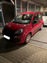 Fiat New Panda 1.2 8V  - rote Fiat New Panda