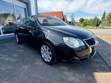 Volkswagen Eos 1.4/TSI/KLIMAAUT./SHZ/STANDHZ. - Volkswagen Eos aus 2008: Cabrio