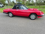 Alfa Romeo Spider - gebrauchte Alfa Romeo Spider aus dem Jahr 1989