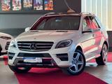 Mercedes-Benz ML 350 CDI AMG Paket Pano Airmatic ILS Comand 20 - Mercedes-Benz Ml AMG