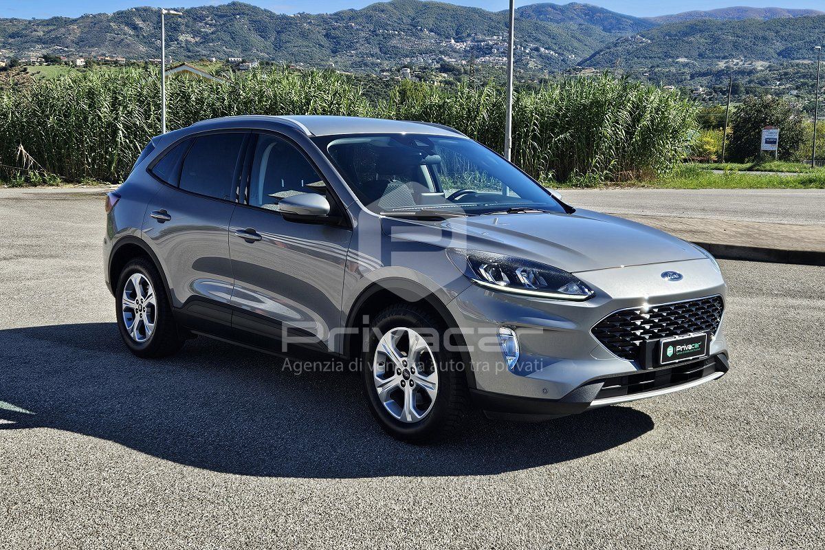 Ford FORD Kuga 1.5 EcoBlue 120 CV 2WD Titanium Busine imagem 2