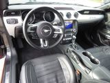 Ford Mustang 5.0 Ti-VCT V8 Black Shadow Edition A... - Ford Mustang: Black Shadow Edition