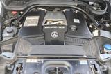 Mercedes-Benz G 63 AMG Mercedes Stronger Than Time Edition - Mercedes-Benz G 63 AMG aus 2020