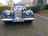 Morgan Plus 8 - Morgan Plus 8 Gebrauchtwagen