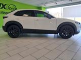 Mazda CX-30 2.0SKYACTIV-G Homura+LED+NAVI+KAMERA - gebrauchte Mazda CX-30 aus dem Jahr 2024