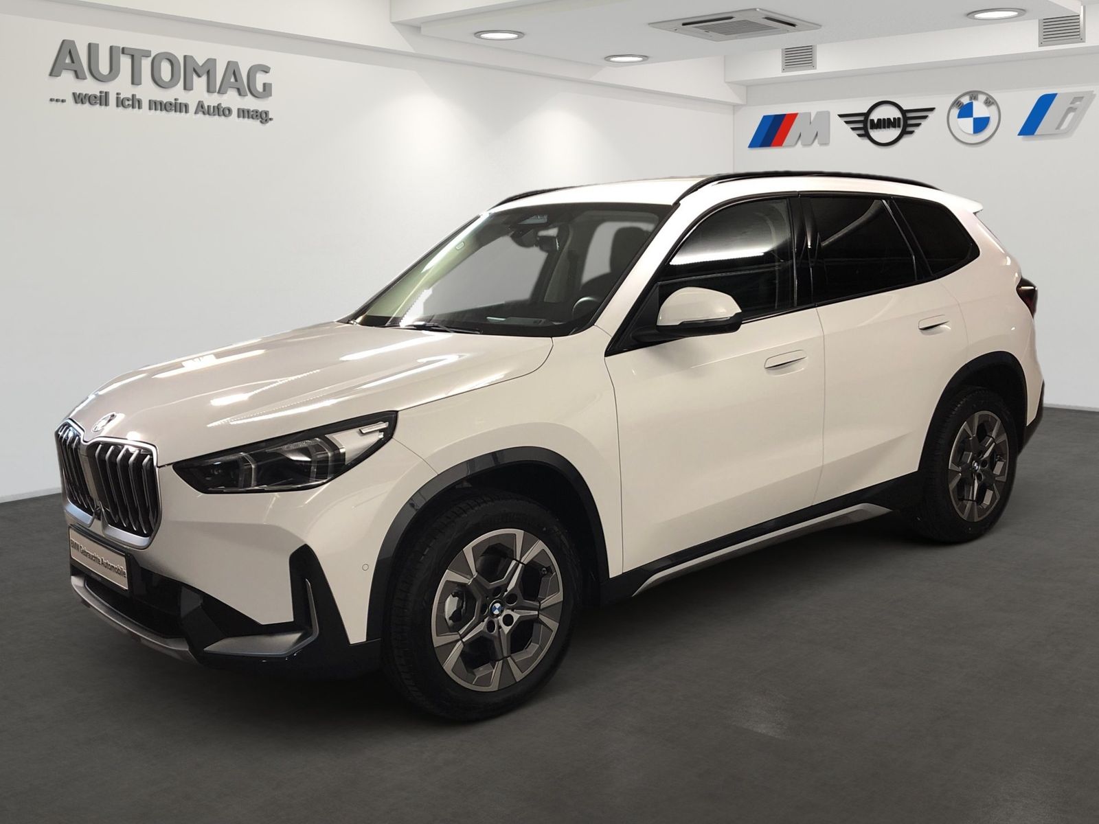 BMW X1 - Bild 1