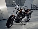 Harley-Davidson Fat Bob CVO "sehr selten" Cryptic Black - HARLEY-DAVIDSON 2010 CVO