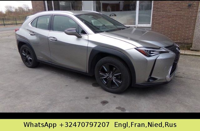 Lexus UX 250h,  LEDER, LED, 1HAND, netto-15600 eur