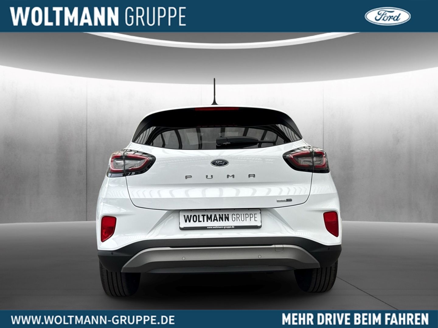 Fahrzeugabbildung Ford Puma Titanium Design PPS h.Sicherheitspaket Wint