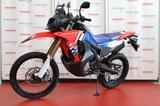 Honda CRF300LR Rally #2025 - HONDA 300 CRF L