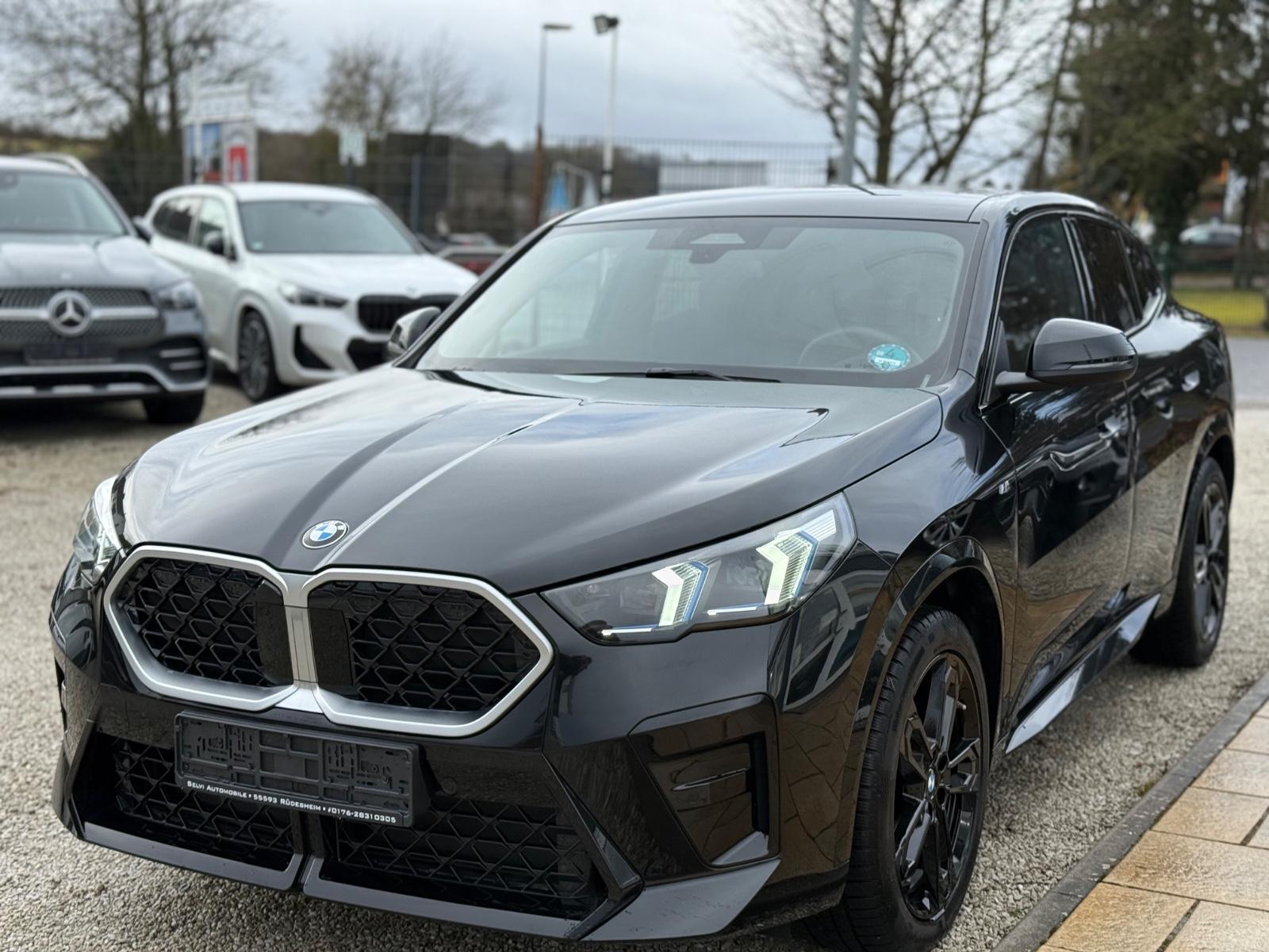 BMW X2 20d M Sport AHK ACC RFK Massage h/k 19 Zoll