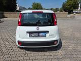 Fiat Panda | 5 Sitzer | Radio | PDC | Tempomat - Fiat Panda: Sitzer
