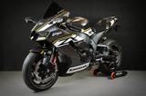 Kawasaki ZX10RR Final Edition Nr.1 of 5 ,,ww. RSI-HP218 - KAWASAKI ZX10R