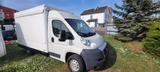 Fiat Imbisswagen - : Imbisswagen
