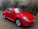 Volkswagen Beetle 1.2 TSI Design Design - Volkswagen Beetle: Rot