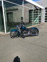 Harley-Davidson Chicano/ Softail  - HARLEY-DAVIDSON 2001 SOFTAIL