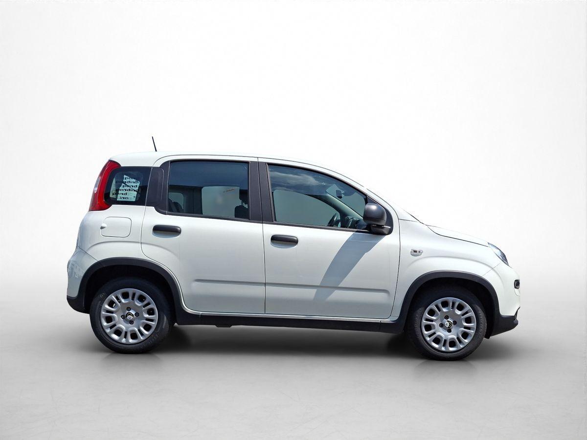 Fiat Panda Hybrid *70PS*DAB*Klima*PDC