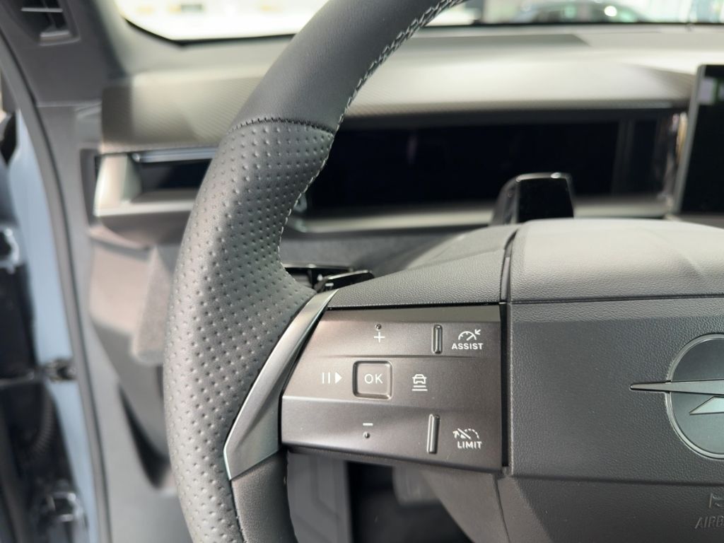 Fahrzeugabbildung Opel Grandland GS, Allwetter, 360 Grad Kamera, SHZ, L