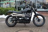 Triumph Street Scrambler 900 / Sonderlack / ZARD ... - TRIUMPH 900 SCRAMBLER