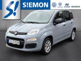 Fiat Panda 1.2 8V Easy Klima Radio DAB MP3 USB elFH - gebrauchte Fiat Panda aus dem Jahr 2021