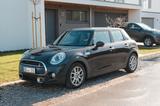 MINI Cooper SD 5-Türer | 170 PS | Chili | Automatik - MINI Cooper SD: Braun