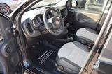 Fiat Panda TwinAir 85 4x4 Cross *Winter-Paket* - Fiat Panda: Twinair