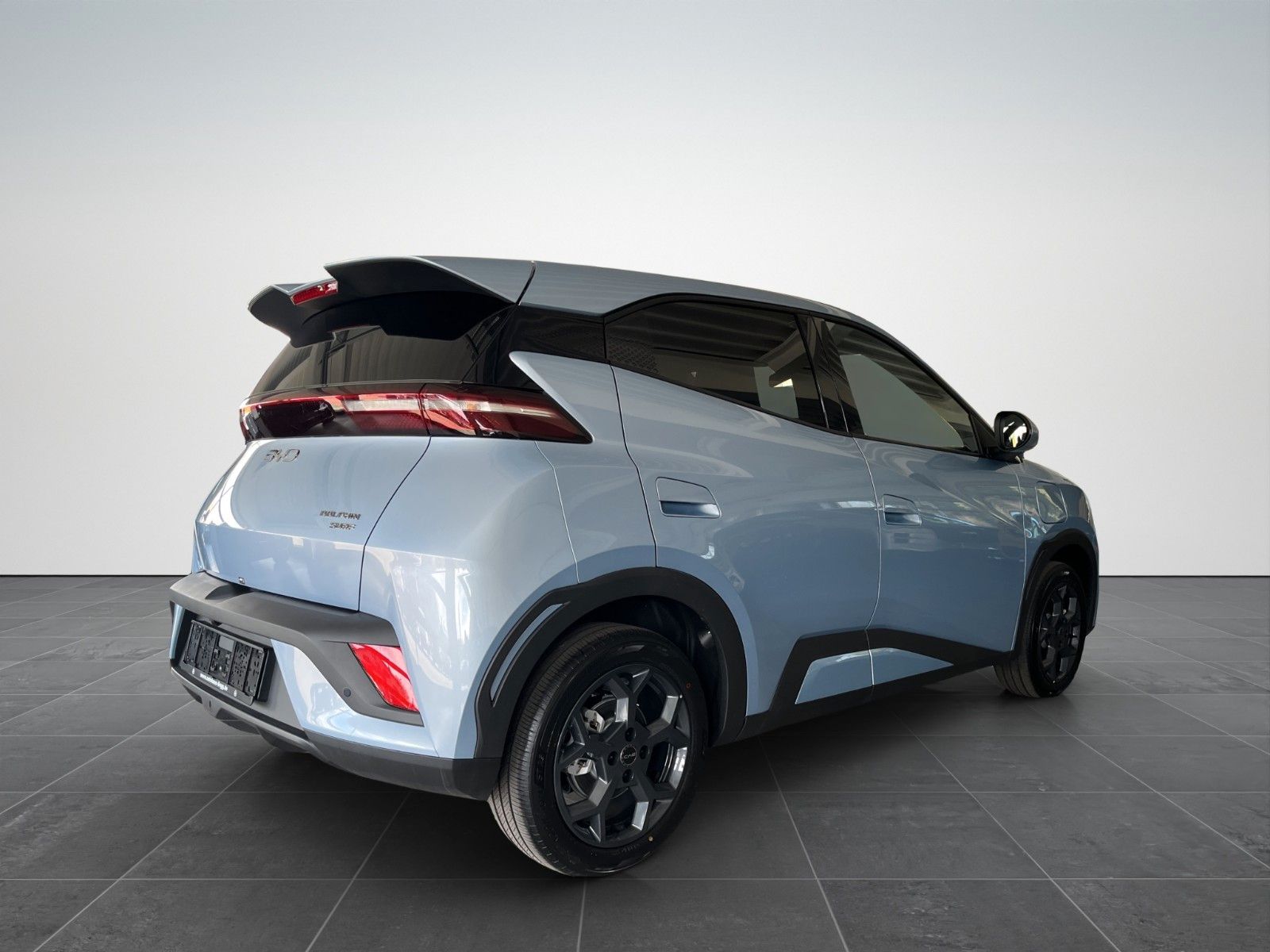BYD DOLPHIN SURF