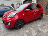 Kia Picanto Dream Team Klima Sitzh. Tempo - Kia Picanto in Krefeld