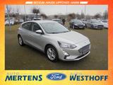 Ford Focus C+C 1.0 Automatik Navi Kamera Winter-Paket - Ford Focus Gebrauchtwagen in Hamm