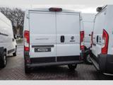 Fiat Ducato Serie 9 Kasten L2H1 Kawa verblecht RückKa - Fiat Ducato in Dortmund