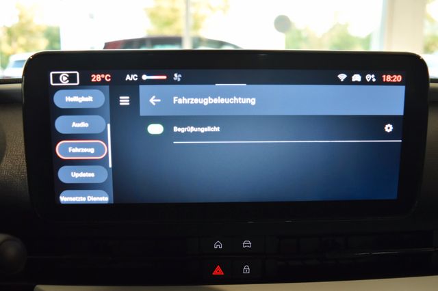 Fahrzeugbild 25