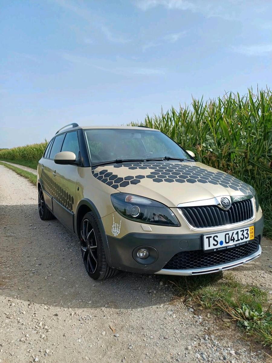 Skoda Fabia 2011 — photo 9