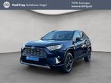 Toyota RAV 4 2.5 4x4 Hybrid Style Selection - blaue Toyota RAV 4