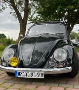 Volkswagen Käfer