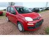 Fiat Panda MHEV 5''-DAB 5-Sitzer PDC DigCo LaneA Temp - Fiat Panda: La
