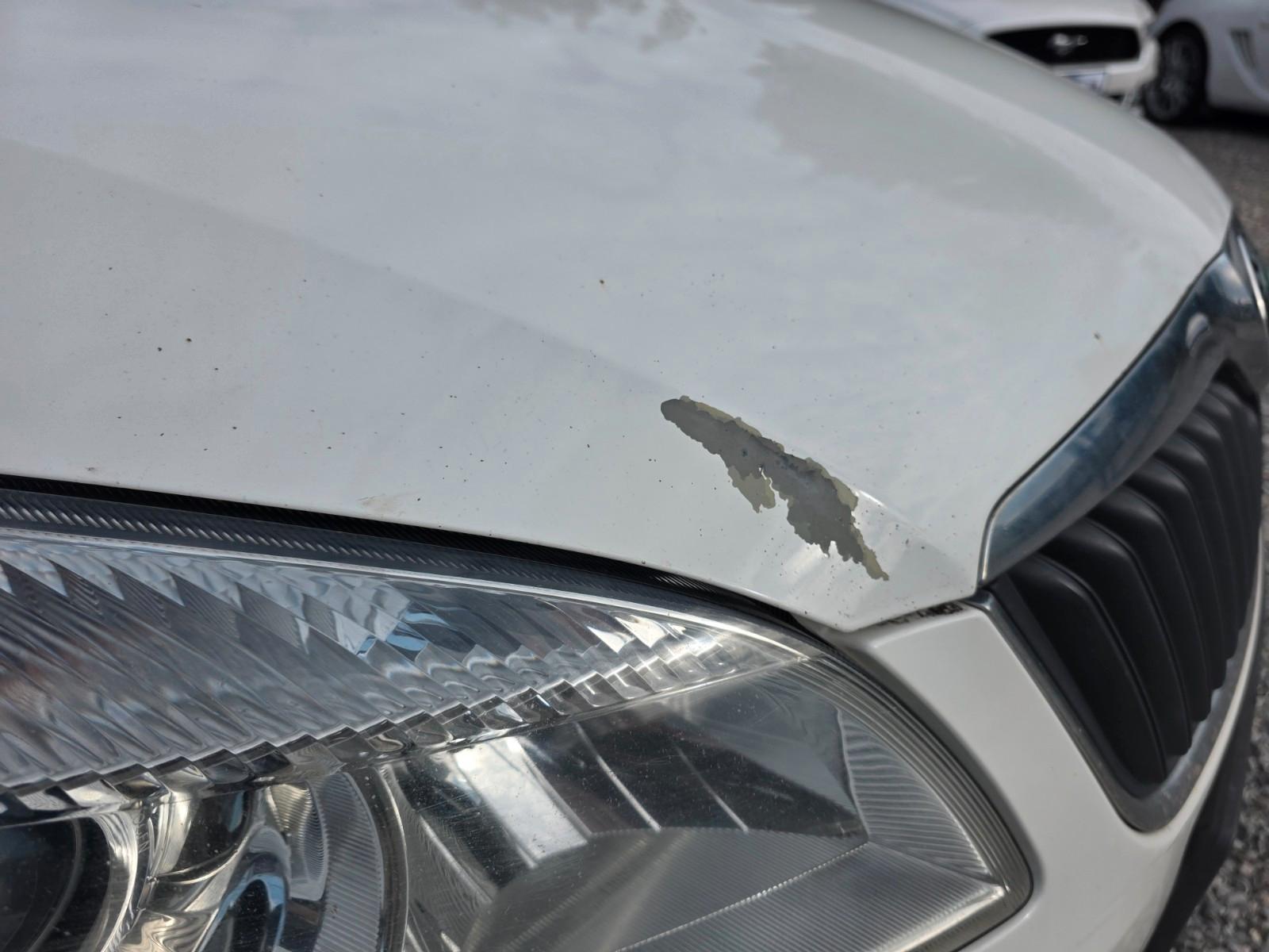 Skoda Roomster 2013 — photo 9
