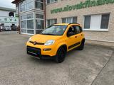 Fiat PANDA 1,3 MultiJet 95 WILD 4x4 vin 309 - Fiat Panda: 1.4
