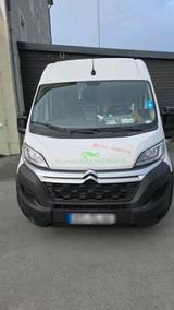 Citroën Transporter  Citroen Jumper - Citroën: Transporter