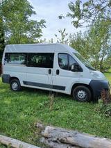Fiat Ducato - Fiat Ducato Gebrauchtwagen in Stuttgart