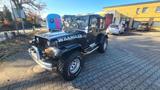 Jeep Wrangler 4.0 L Automatik - Jeep Gebrauchtwagen von 1995